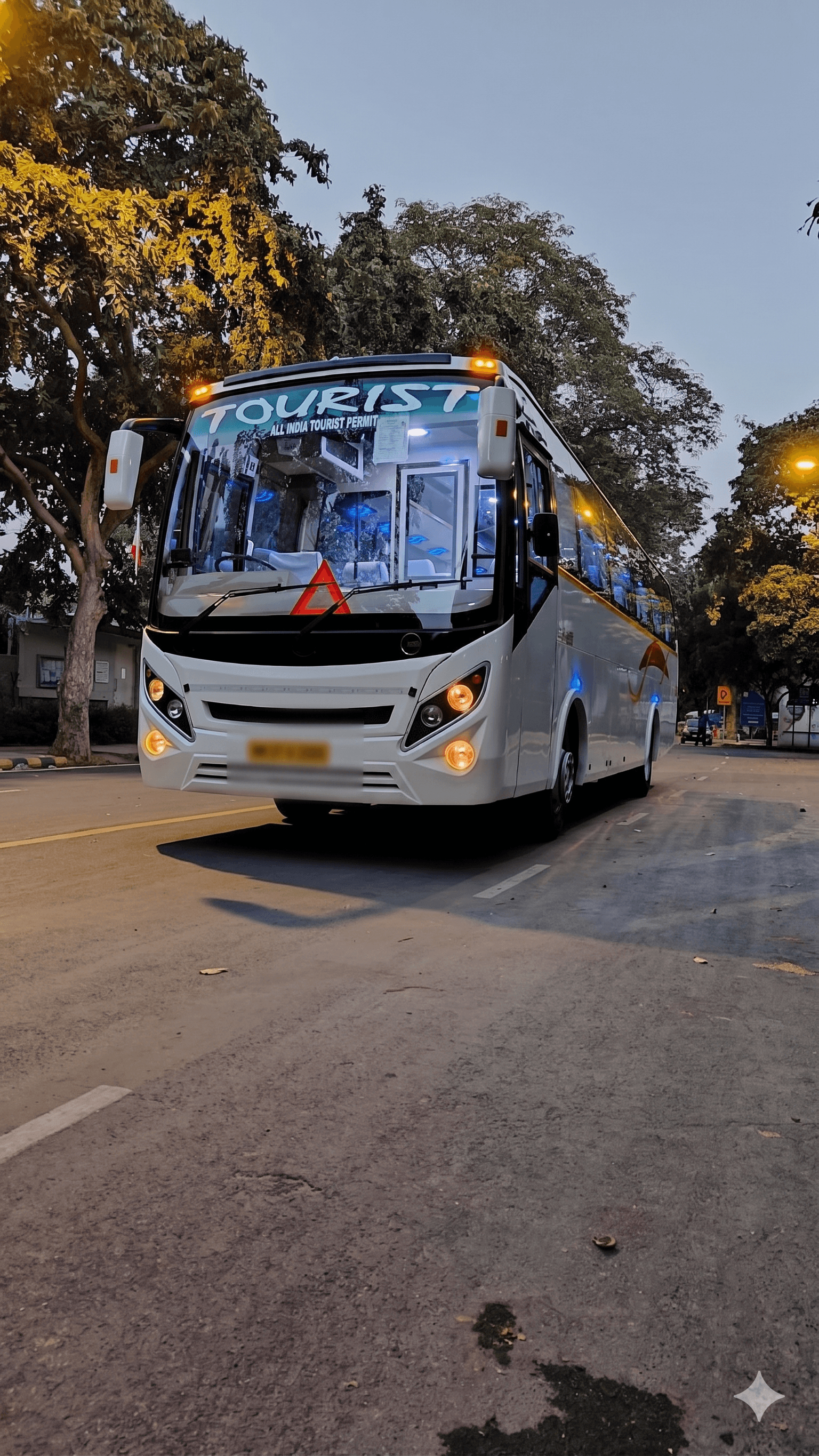 Luxury Buses 9